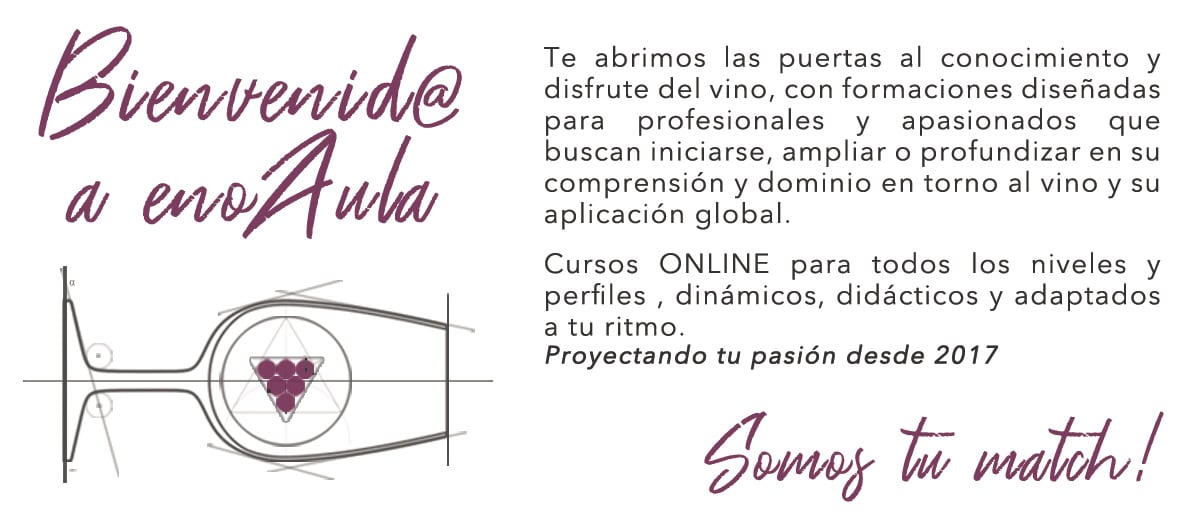 Imagen promocional de "enoAula", que ofrece cursos de vino en línea para todos los niveles, con texto, un diagrama de copa de vino y el eslogan "Somos tu match" en español.