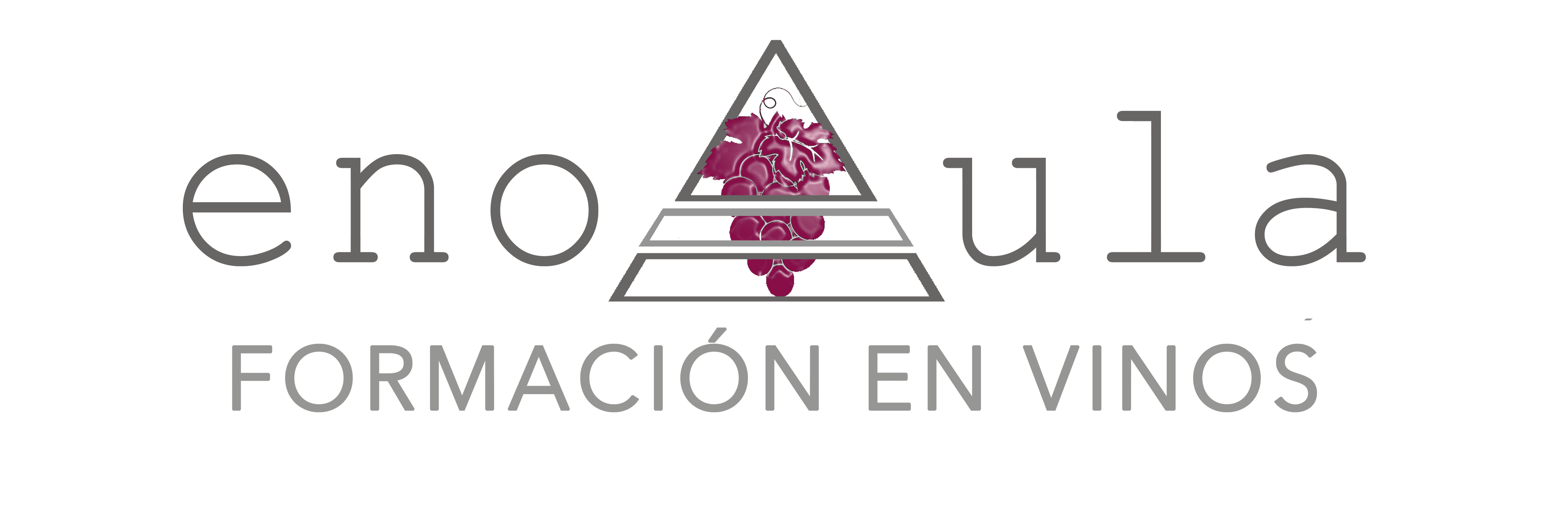 Logotipo con el texto "enoAula FORMACIÓN EN VINOS" y un diseño triangular con uvas en su interior, que representa la educación vitivinícola.