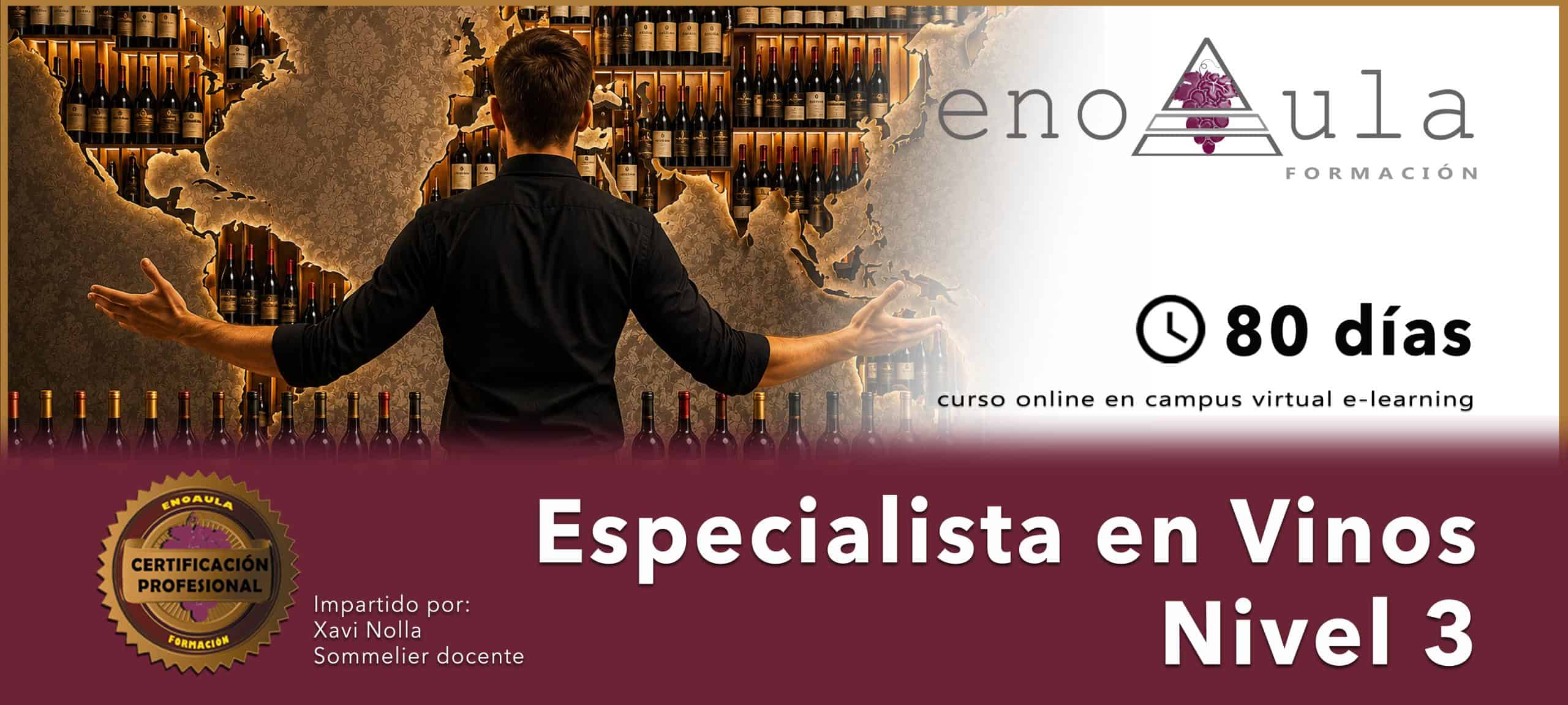 Un hombre de pie con los brazos abiertos frente a una pared de botellas de vino; el texto promociona un curso online de 80 días de especialista en vinos, nivel 3, con certificación profesional.
