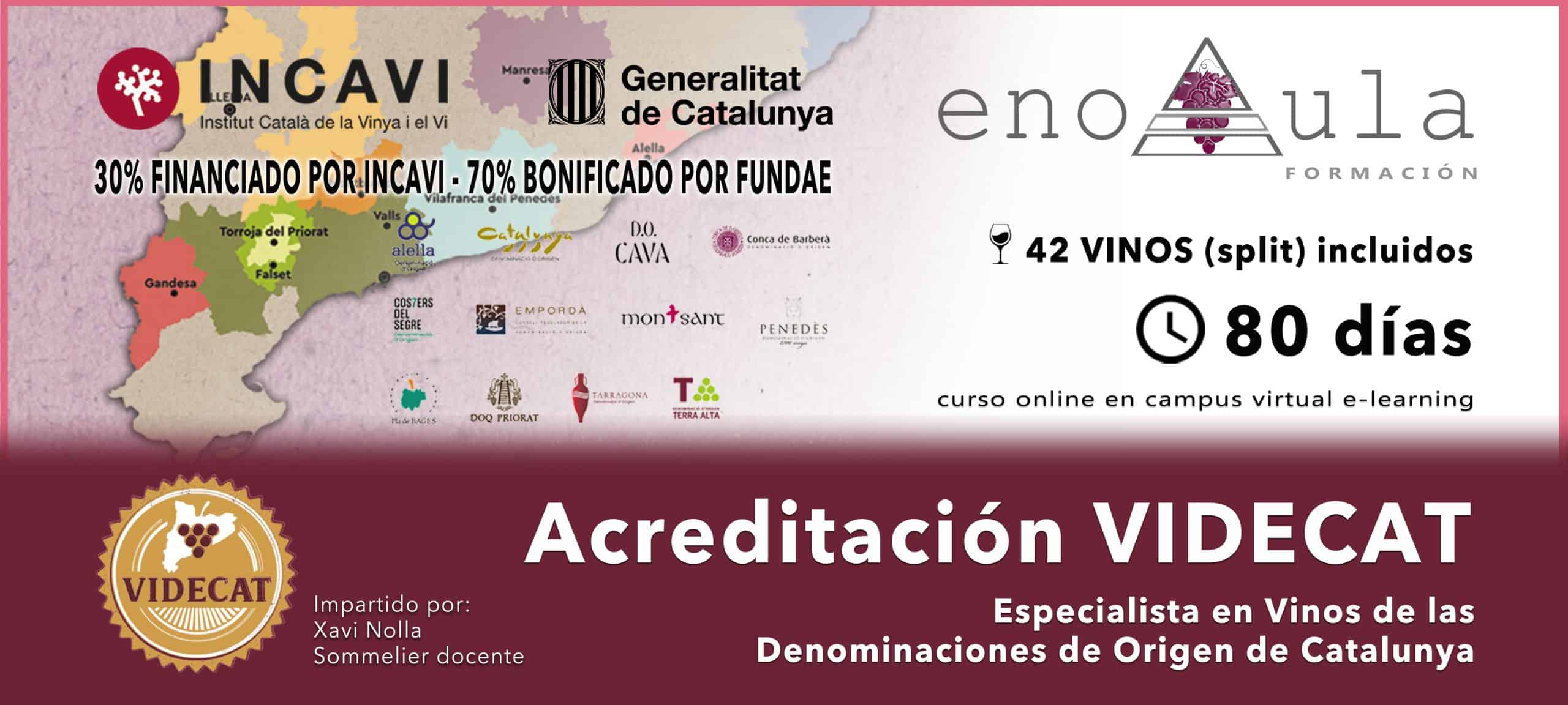 Cartel promocional de un curso en línea sobre vinos catalanes, en el que se destacan 42 vinos, 80 días y la acreditación de VIDEcat, con logotipos y detalles del curso.