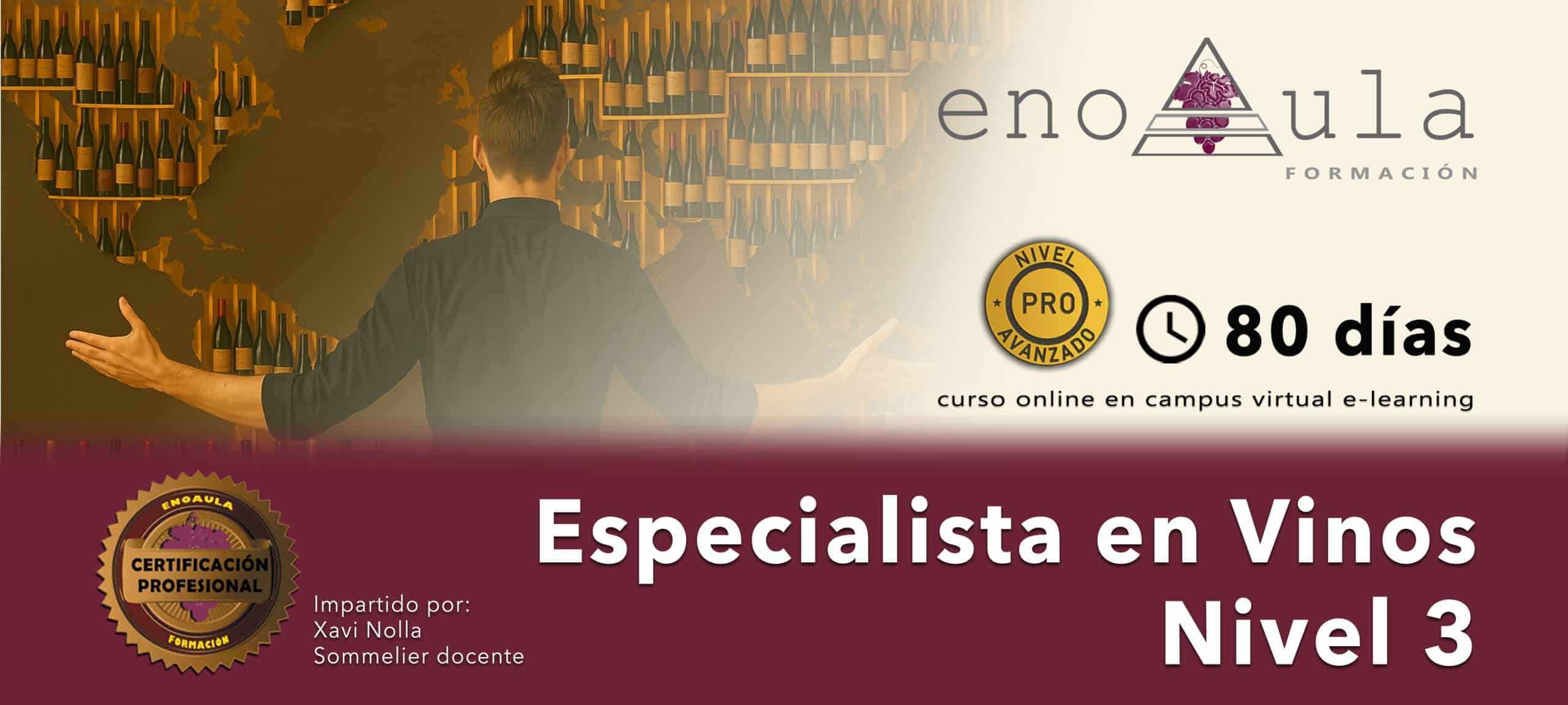 Una persona de pie frente a una pared con estantes de botellas de vino. El texto dice: "Especialista en Vinos Nivel 3. 80 días. Certificación profesional. Impartido por Xavi Nolla".