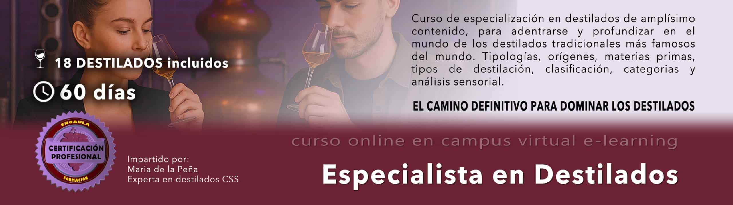 Banner publicitario de un curso online de especialización en bebidas espirituosas; muestra a una mujer degustando una bebida, detalles del curso, nombre del instructor e información sobre la certificación.