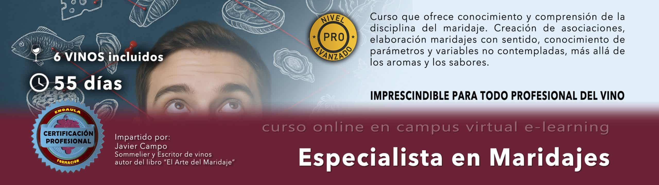 Banner promocionando un curso online de 55 días de especialista en maridaje de vinos, destacando los 6 vinos incluidos, la certificación profesional y detalles sobre el plan de estudios.