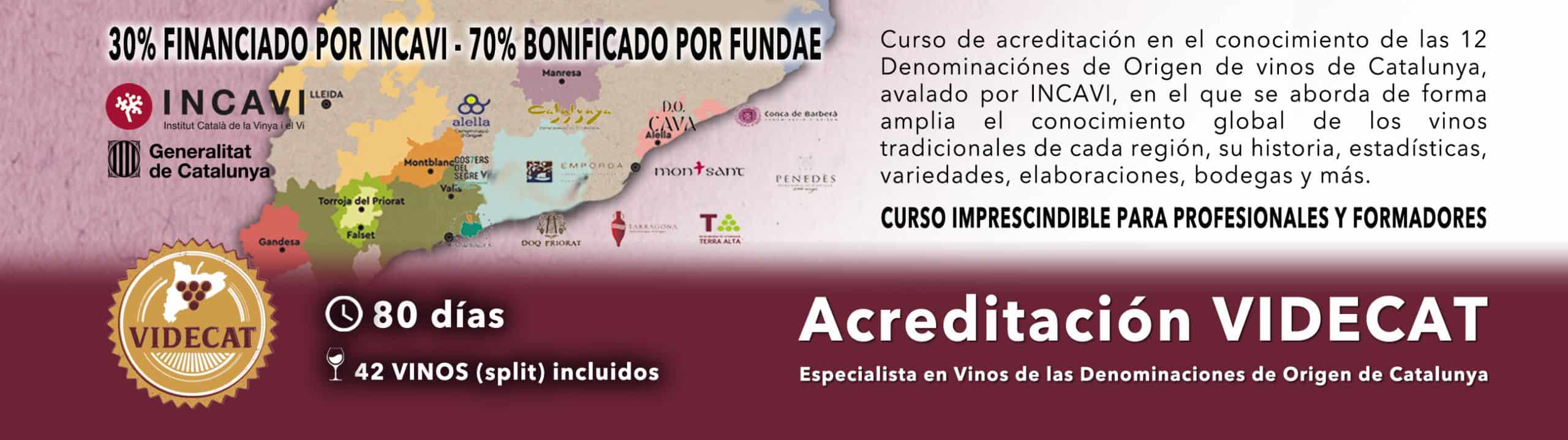 Cartel promocional de un curso de acreditación en enología en Cataluña, en el que aparecen logotipos, un mapa, detalles del curso, información sobre las ayudas y una copa de vino tinto.