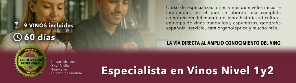 Banner promocionando un curso de especialista en vinos, con dos personas bebiendo vino, detalles del curso, duración, certificación e información sobre los vinos incluidos.