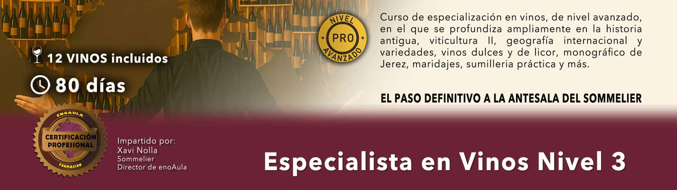Banner del curso "Especialista en Vinos Nivel 3", con los detalles del curso: 12 vinos incluidos, 80 días de duración, certificación profesional y el sumiller Xavi Nolla como instructor.