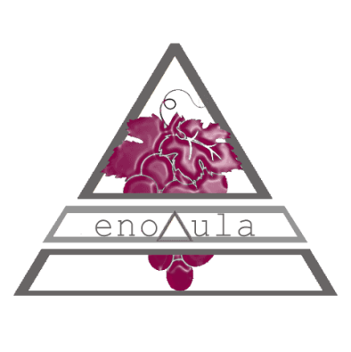 Un logotipo triangular con un racimo de uvas moradas en el centro y la palabra "enoAula" dentro de una barra horizontal que atraviesa el triángulo.