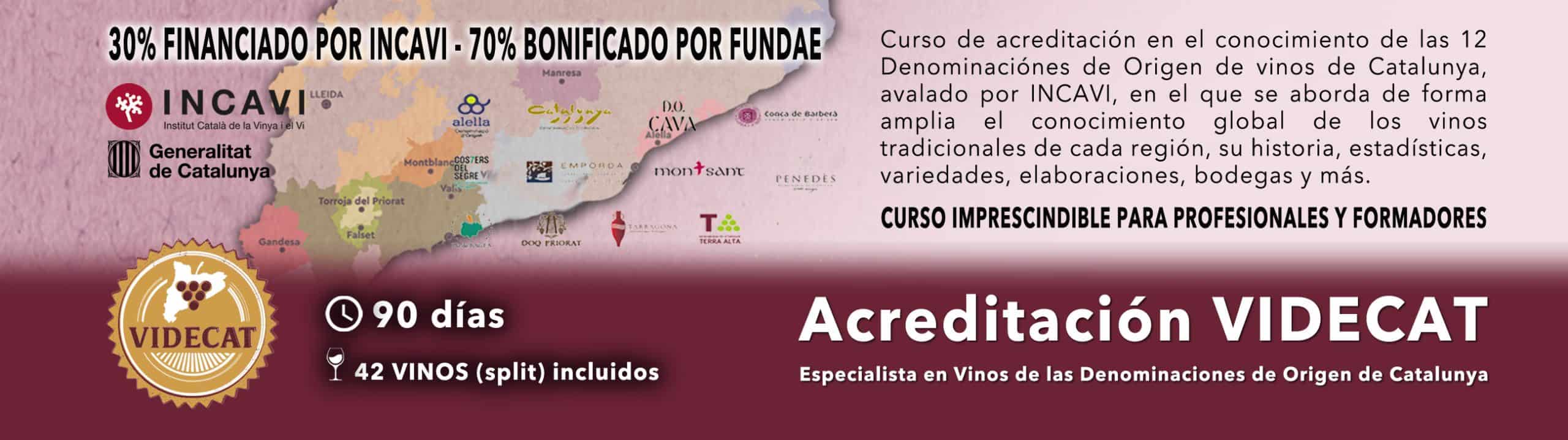 Banner promocional para el curso de vino "Acreditación VIDEOCAT", destacando 12 denominaciones de vino catalanas, información sobre la financiación, duración del curso, muestras de vino incluidas e instituciones organizadoras.