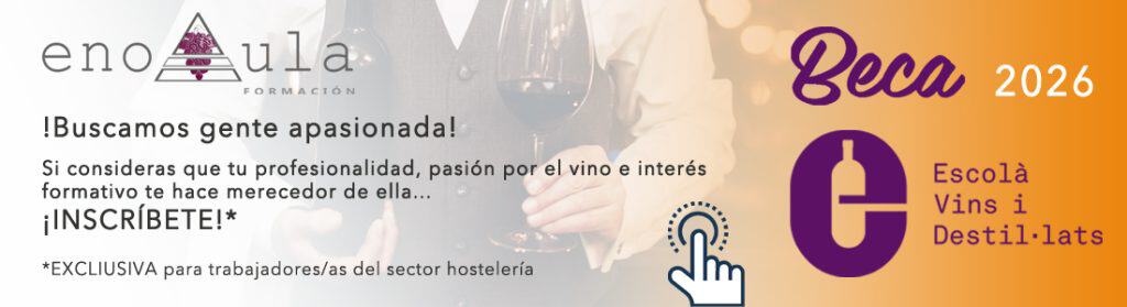 Banner promocional para una beca 2026 de formación en vinos y licores, dirigida a trabajadores de la hostelería, con texto y logotipos sobre fondo degradado.