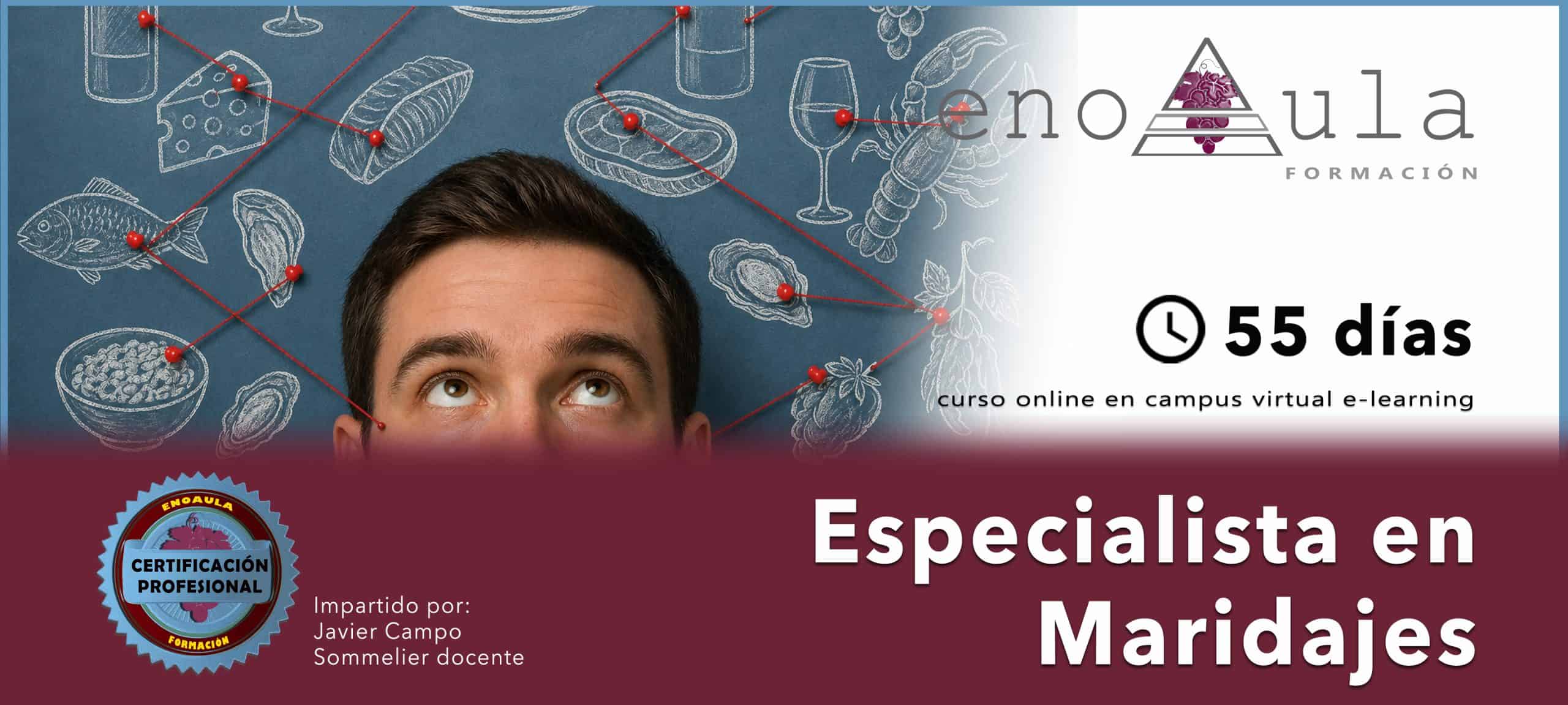 Hombre mirando una pizarra con iconos de comida y bebida unidos por líneas; el texto promociona un curso online de 55 días de especialista en maridaje de Venoaula.