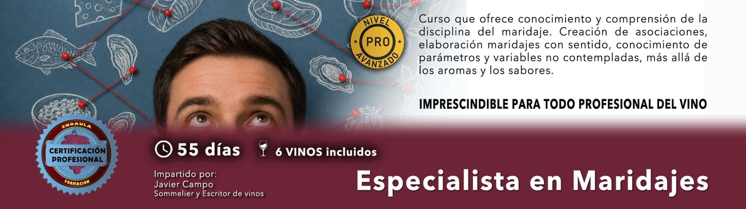 Banner promocionando un curso de especialista en maridaje de vinos, con la cara de un hombre, iconos de vino, detalles del curso e información sobre la certificación en español.