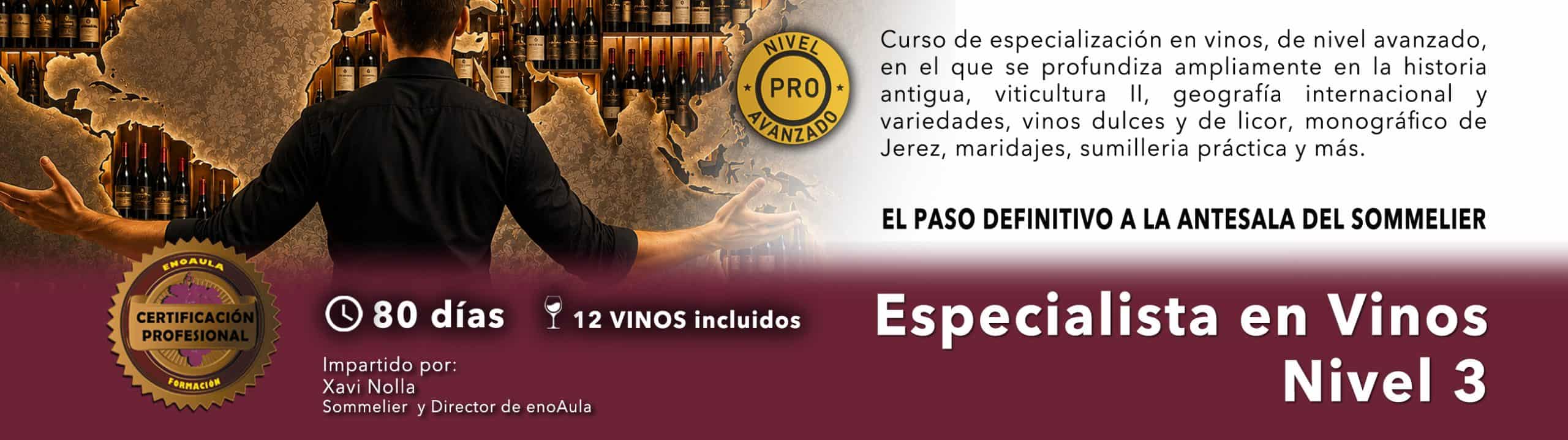 Banner promocional para el curso "Especialista en Vinos Nivel 3", con botellas de vino, detalles del curso, duración e información sobre el instructor.