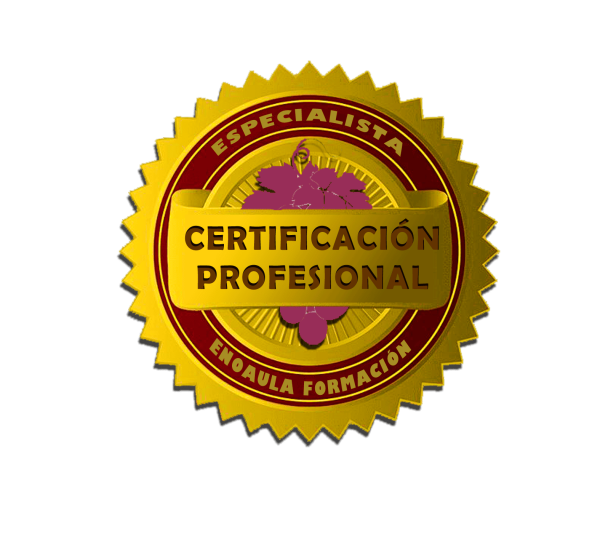 Insignia dorada y roja con el texto "Especialista Certificación Profesional" y "Enoaula Formación" escrito en español, que indica la certificación profesional.